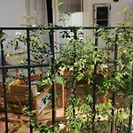 Ana's Appartement Nerja